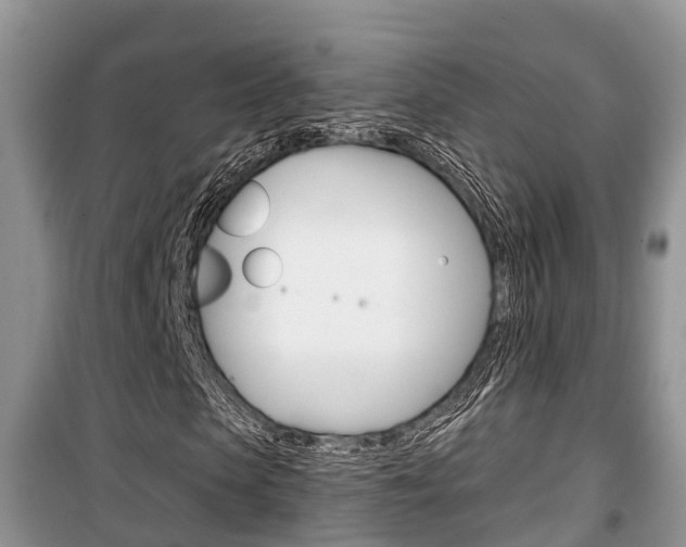 X0000100470913200806130751