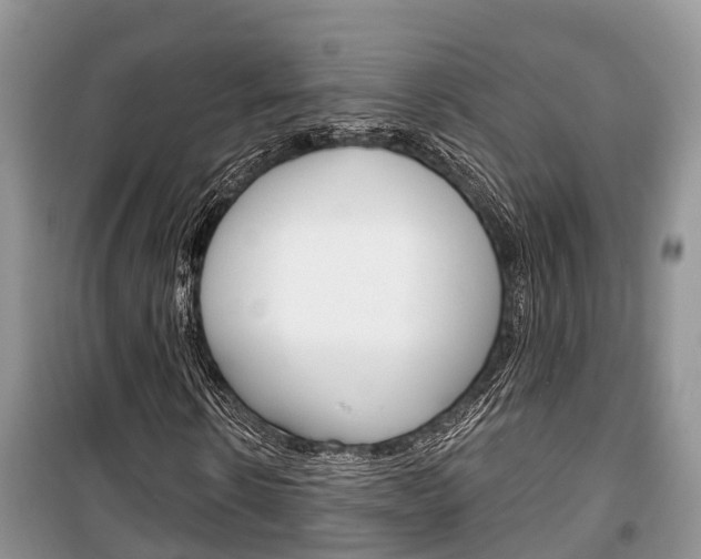 X0000100470914200806130751