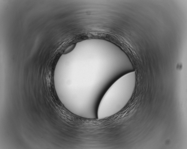 X0000100470915200806130751