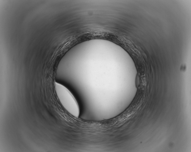 X0000100470916200806130751