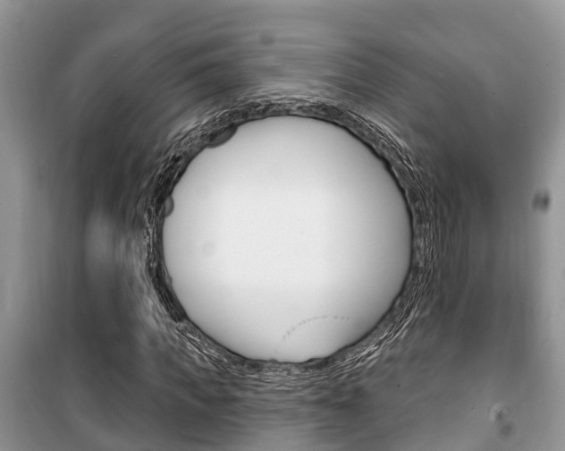 X0000100470917200806130751