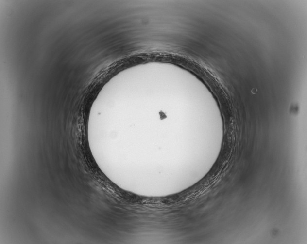X0000100470918200806130751