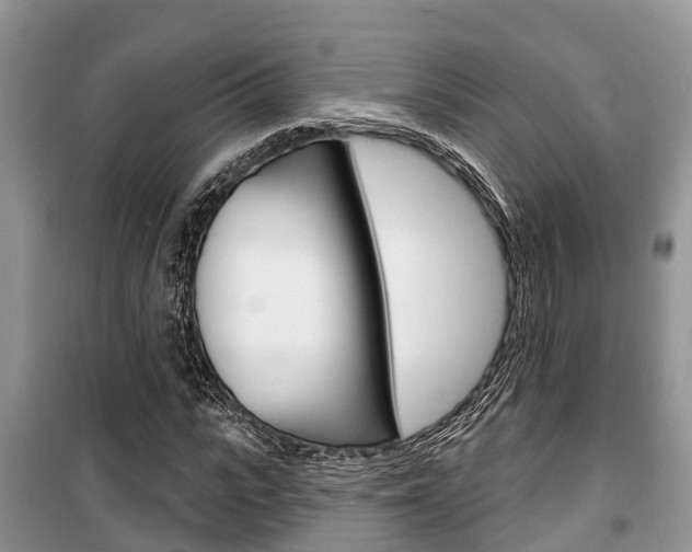 X0000100470919200806130751