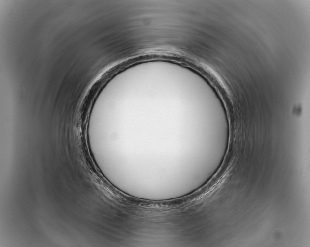 X0000100470923200806130751
