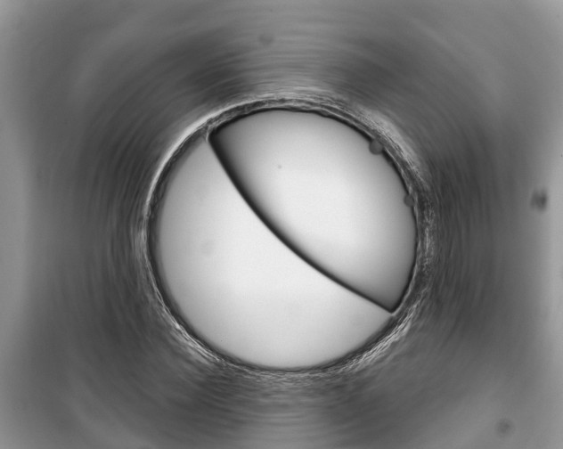 X0000100470924200806130751