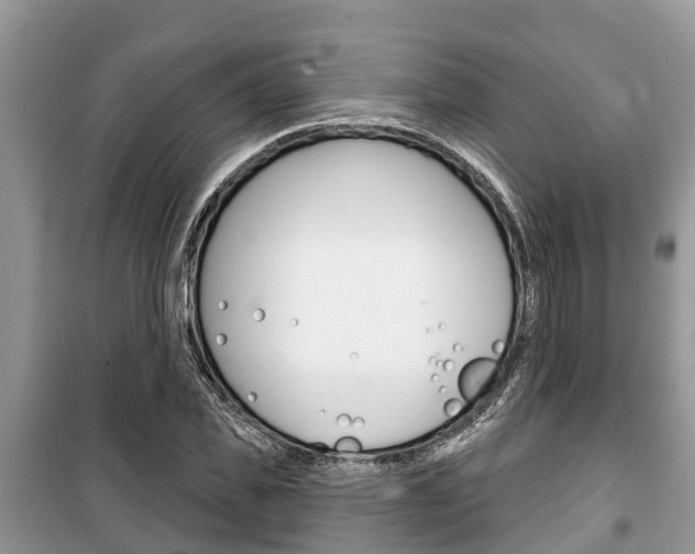 X0000100470925200806130751
