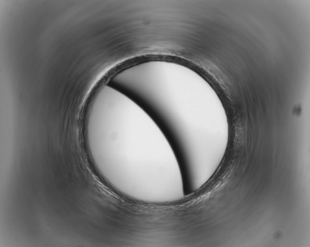 X0000100470926200806130751