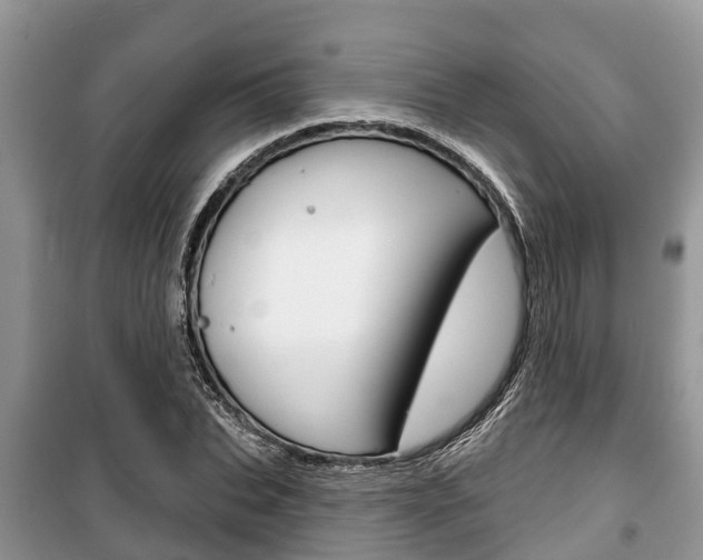 X0000100470927200806130751