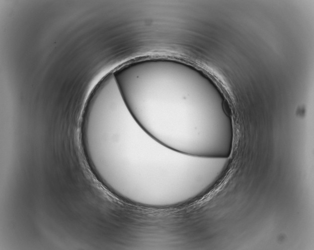 X0000100470928200806130751