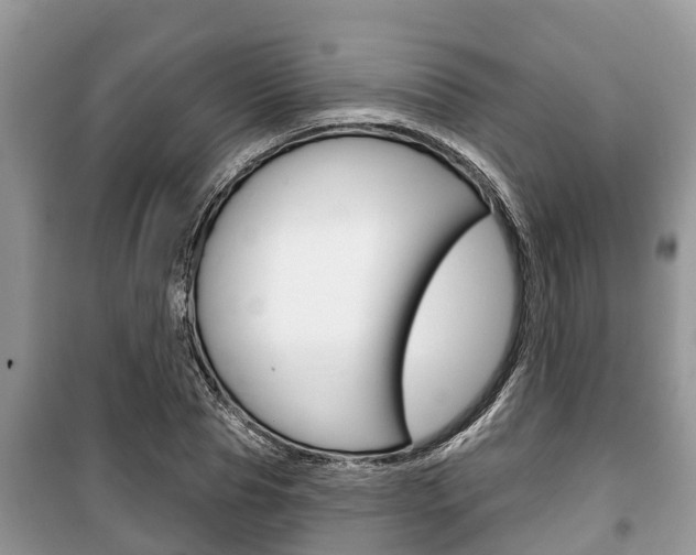 X0000100470929200806130751