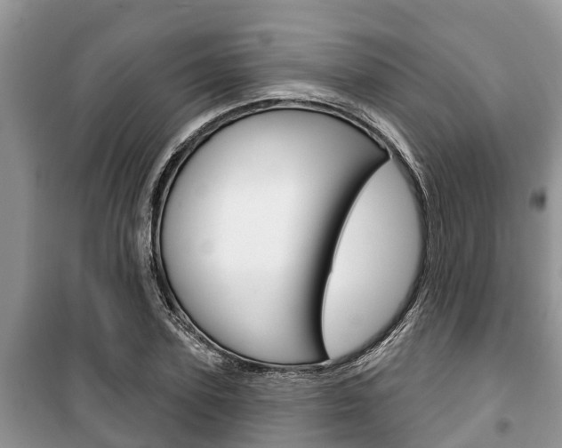 X0000100470931200806130751