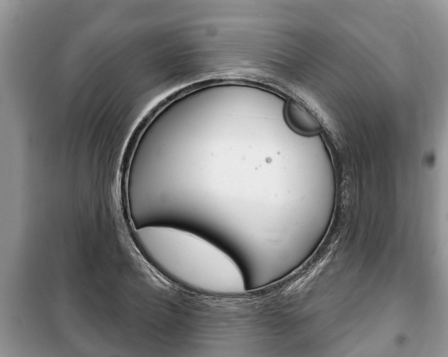 X0000100470932200806130751