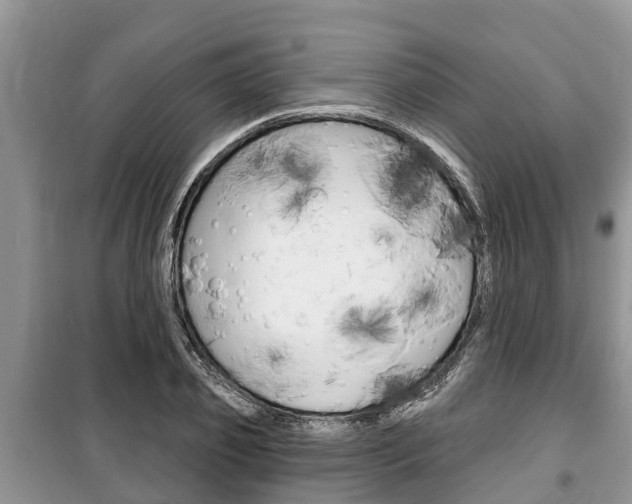 X0000100470933200806130751