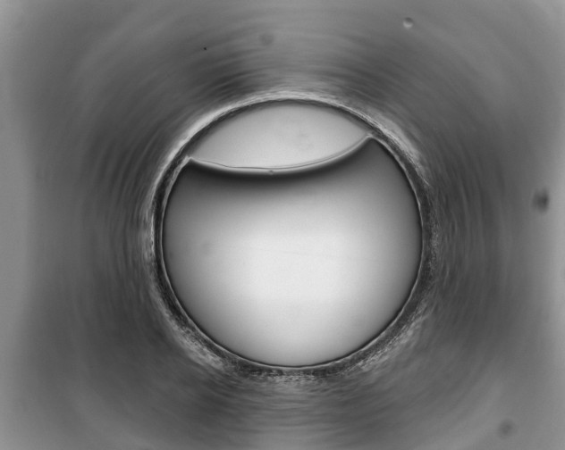 X0000100470934200806130751