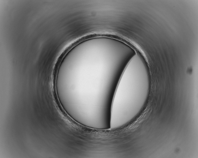 X0000100470935200806130751