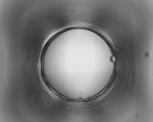 X0000100470936200806130751