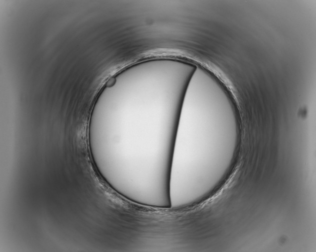 X0000100470937200806130751