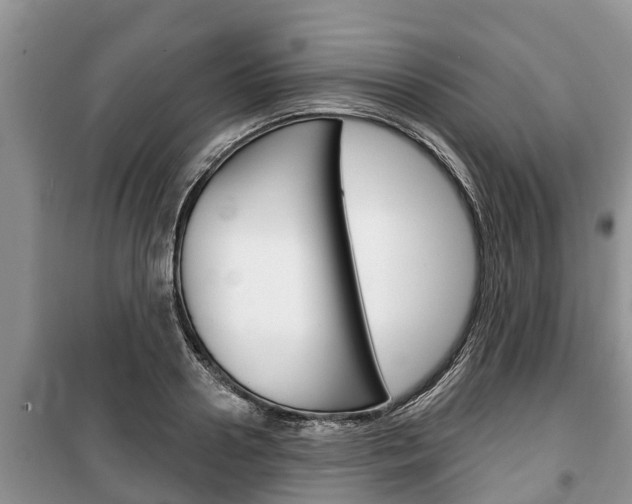 X0000100470938200806130751