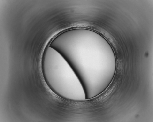 X0000100470939200806130751