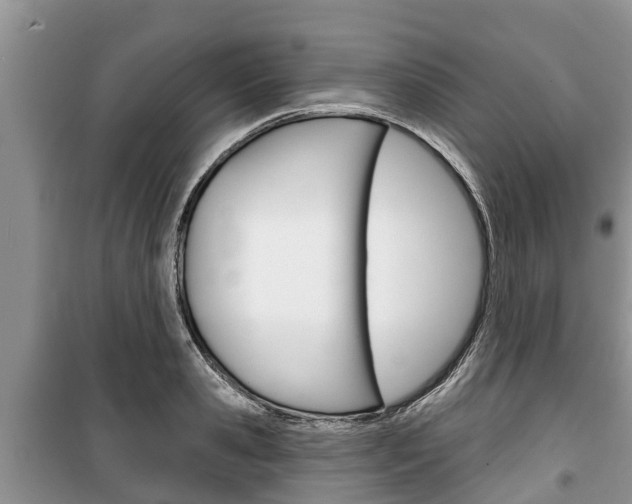 X0000100470941200806130751