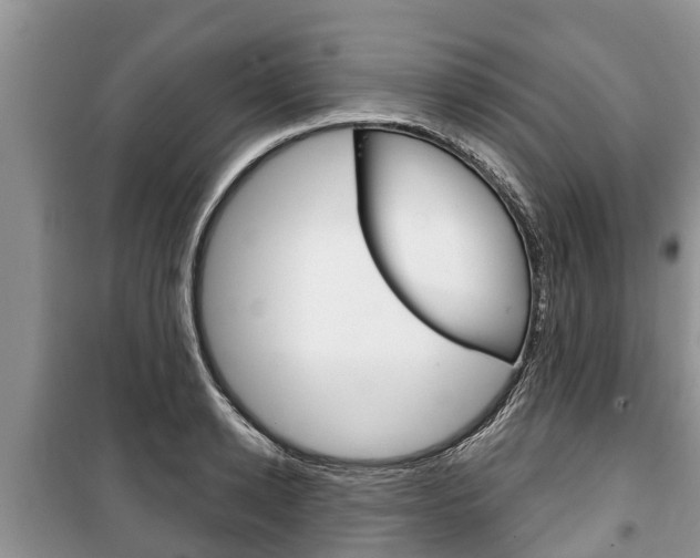 X0000100470942200806130751