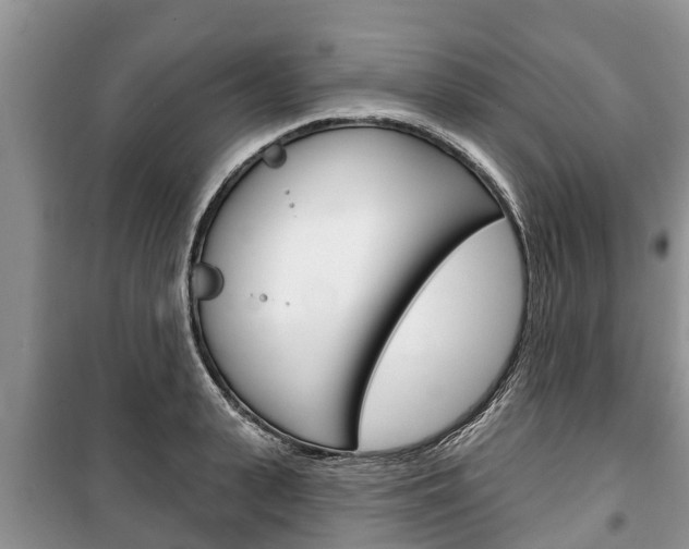 X0000100470943200806130751