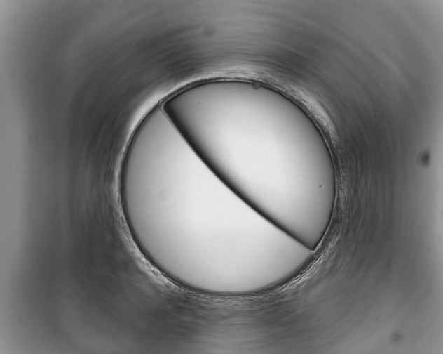 X0000100470944200806130752