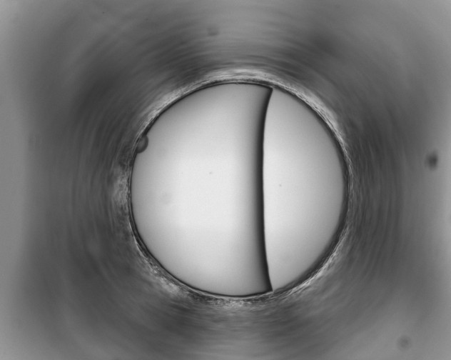 X0000100470945200806130752
