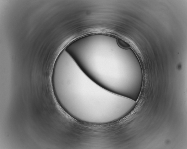 X0000100470946200806130752