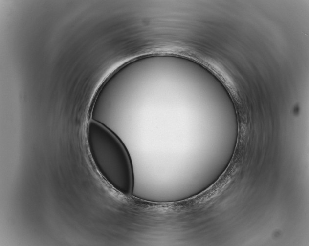 X0000100470948200806130752