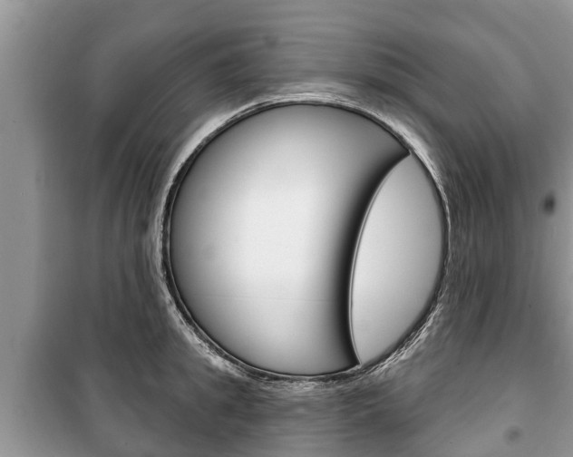 X0000100470949200806130752