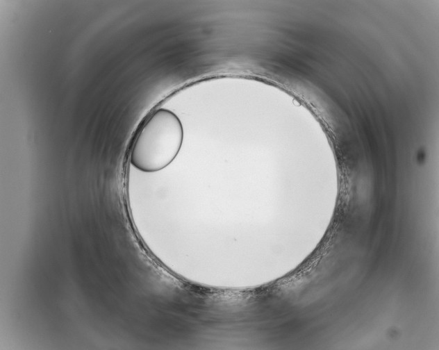 X0000100470950200806130752