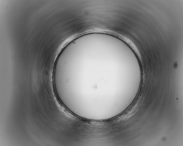 X0000100470954200806130752