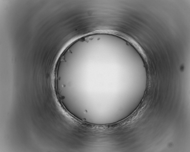 X0000100470955200806130752