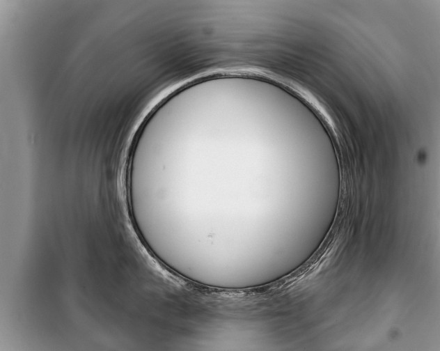 X0000100470959200806130752