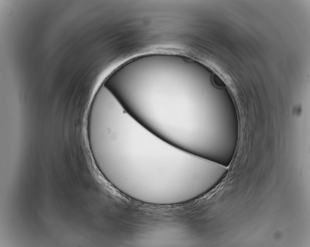 X0000100470960200806130752