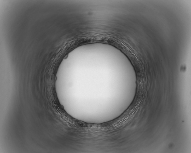 X0000100470961200806130751