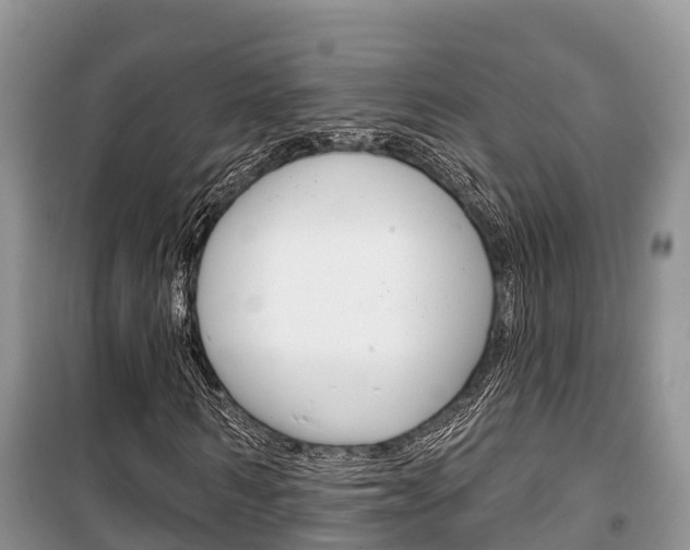 X0000100470962200806130751