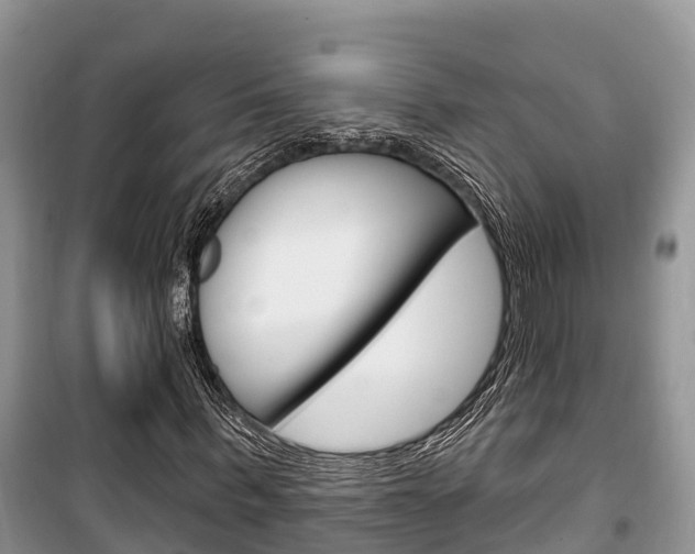 X0000100470963200806130751