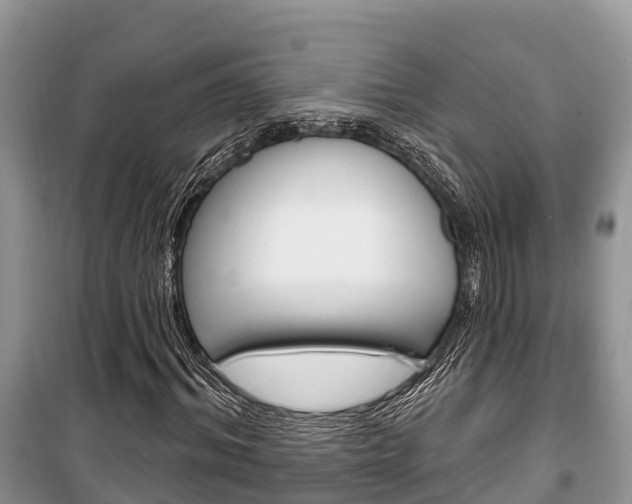 X0000100470964200806130751