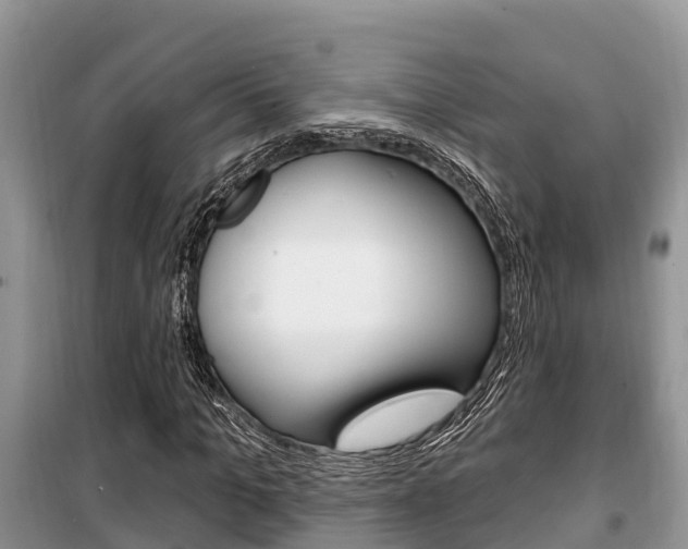 X0000100470965200806130751