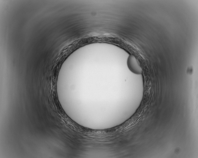 X0000100470966200806130751