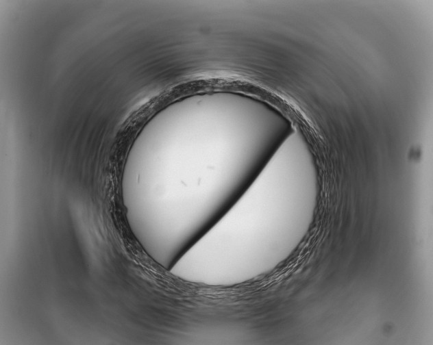X0000100470967200806130751