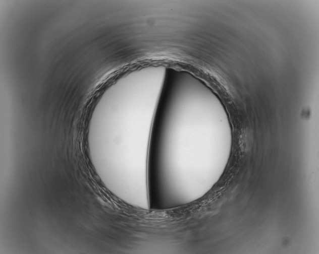 X0000100470968200806130751