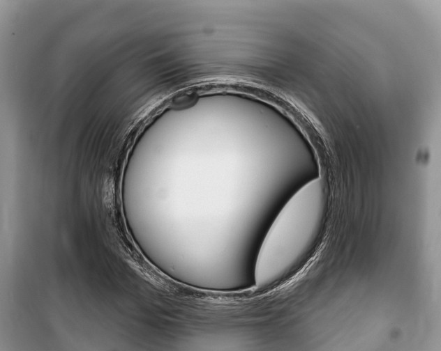 X0000100470969200806130751