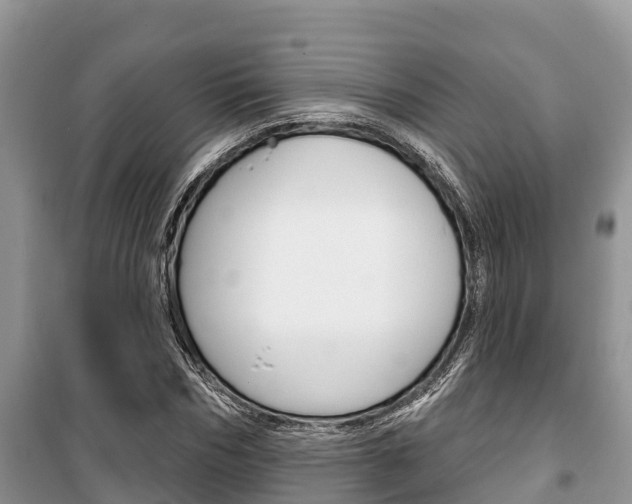 X0000100470970200806130751