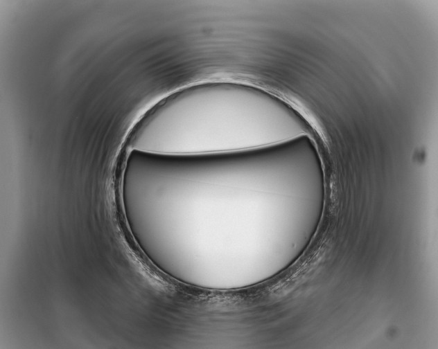 X0000100470972200806130751