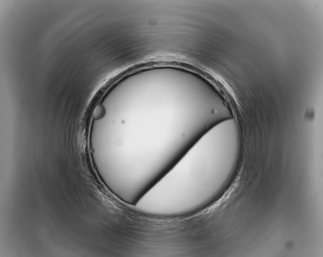 X0000100470973200806130751