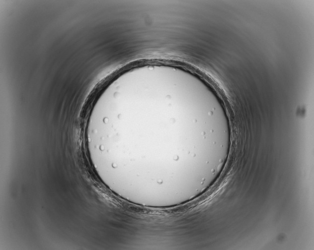 X0000100470974200806130751
