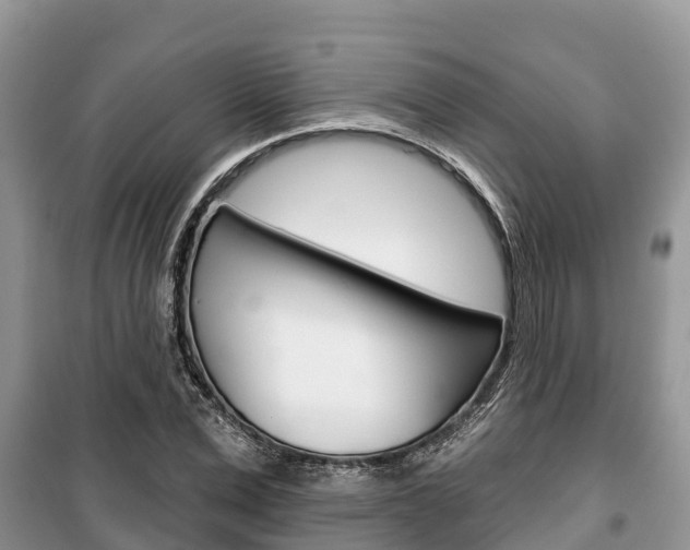 X0000100470975200806130751
